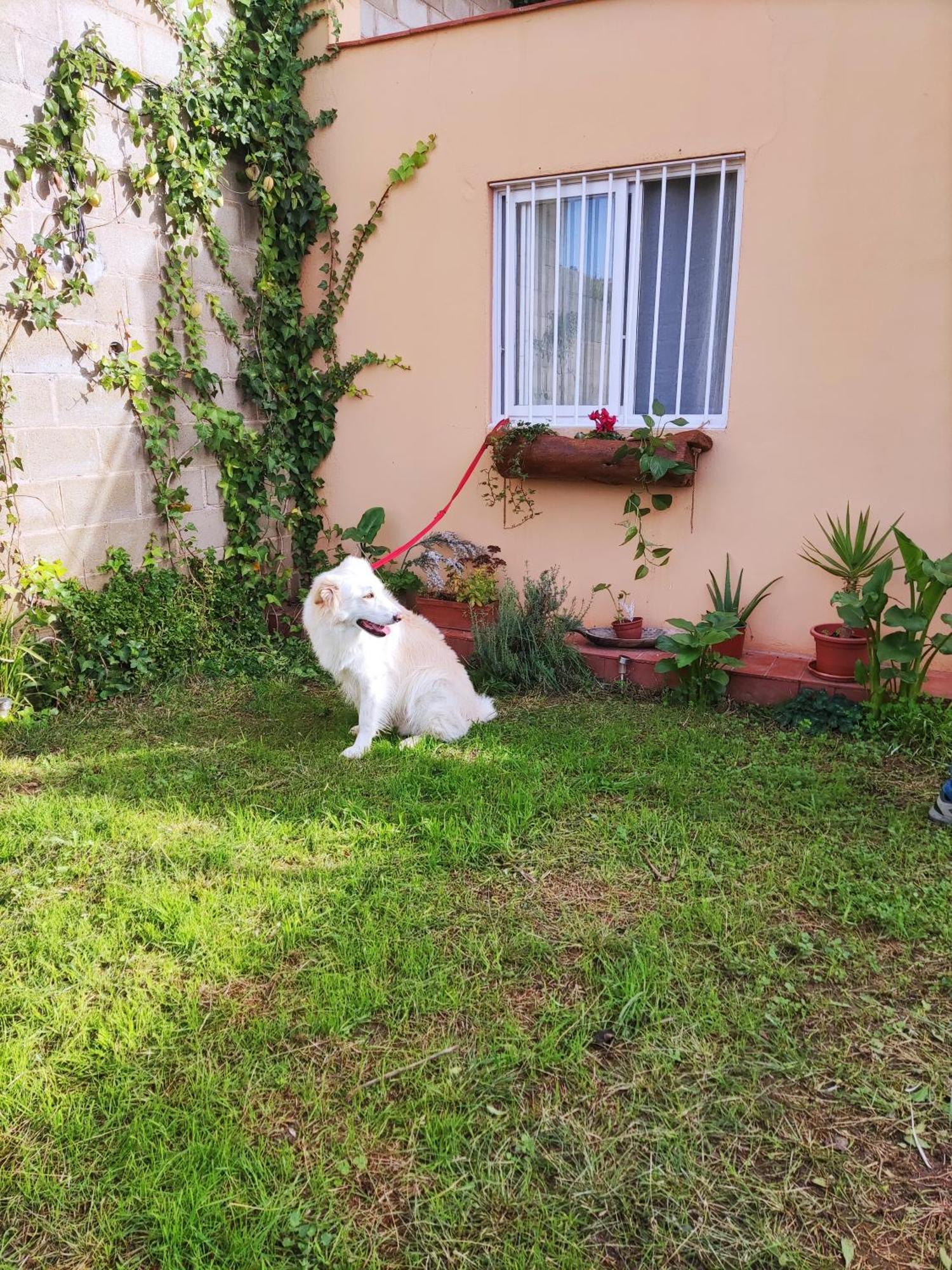 Apartament The Anex Reformado Recientemente Palafrugell Zewnętrze zdjęcie